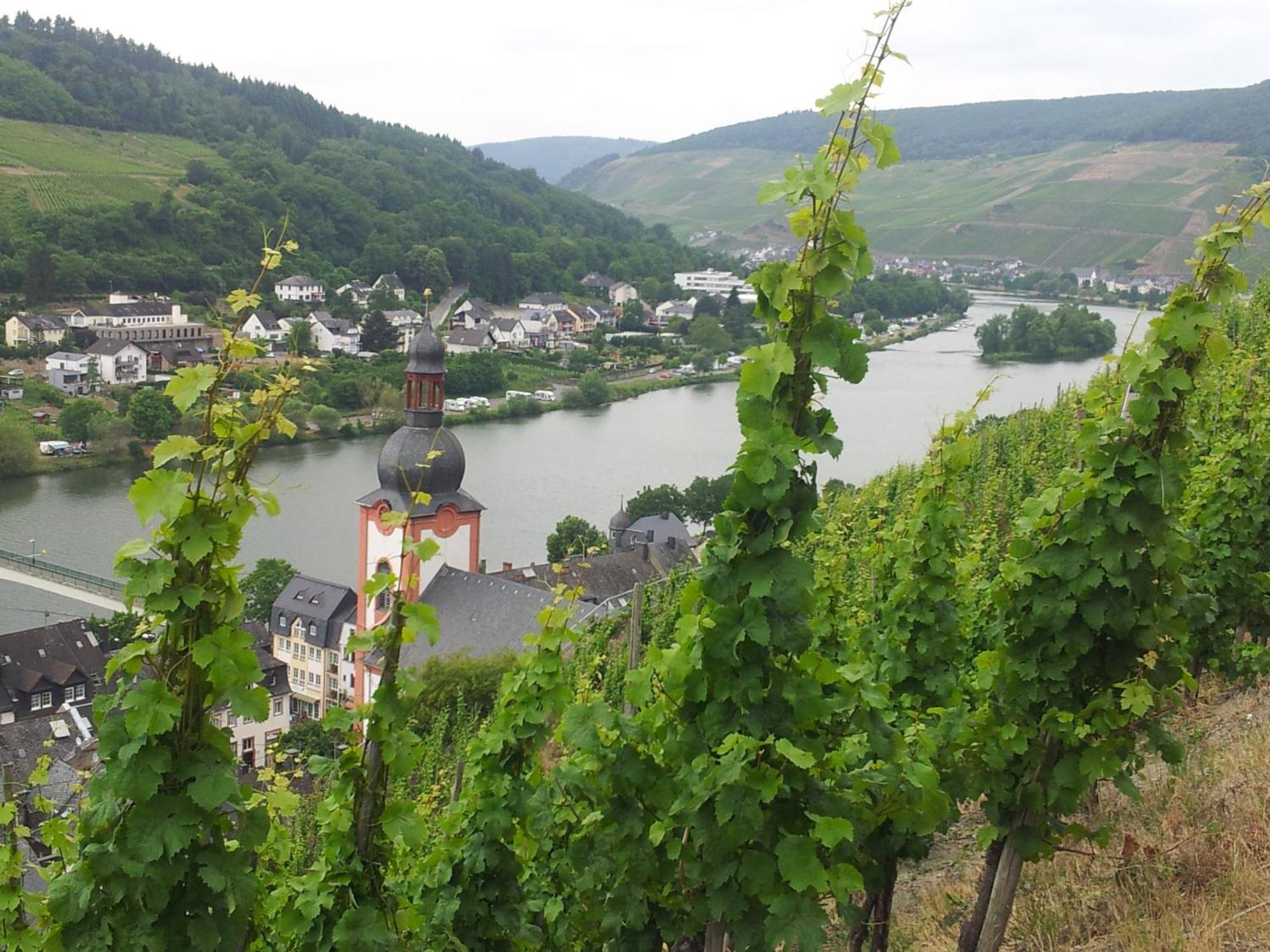 "Ferienhaus An Der Mosel" Zell an der Mosel Exteriör bild